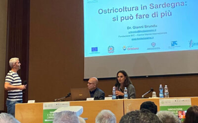 Cluster 2 – Ostricoltura in Sardegna: si può fare di più
